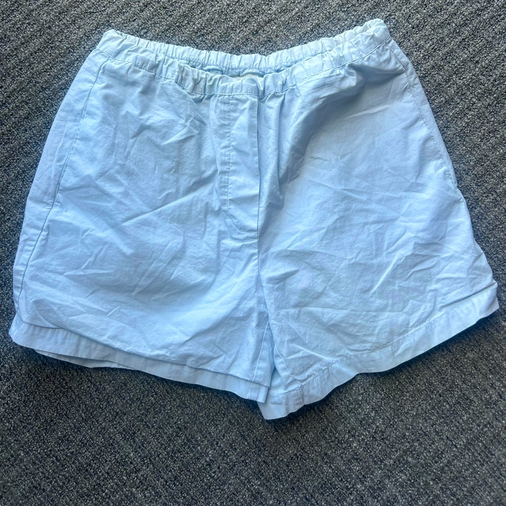 Aritzia Shorts